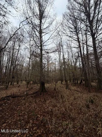 $297,500 | North Us-11 Highway, Pachuta, MS 39347