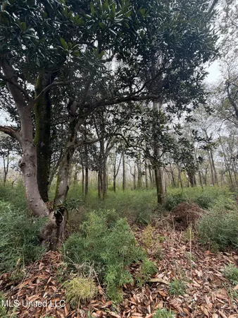 $297,500 | North Us-11 Highway, Pachuta, MS 39347