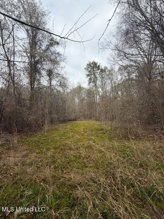 $297,500 | North Us-11 Highway, Pachuta, MS 39347