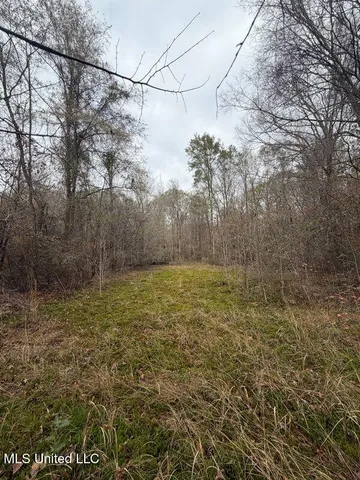 $307,646 | North Us-11 Highway, Pachuta, MS 39347
