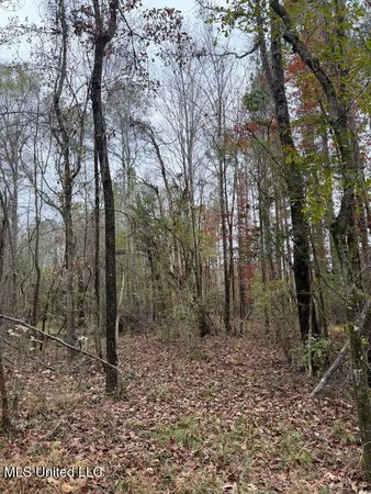 $297,500 | North Us-11 Highway, Pachuta, MS 39347