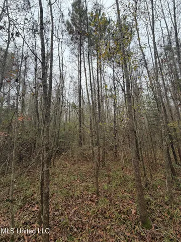 $307,646 | North Us-11 Highway, Pachuta, MS 39347