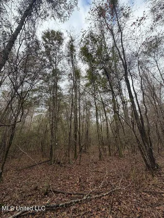 $297,500 | North Us-11 Highway, Pachuta, MS 39347
