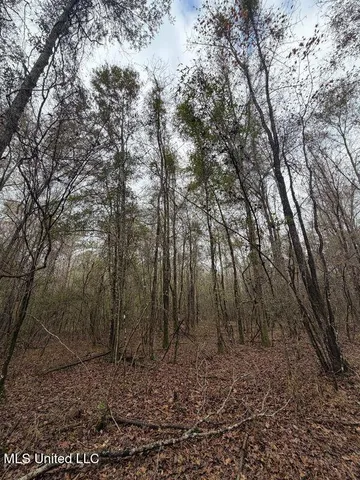 $307,646 | North Us-11 Highway, Pachuta, MS 39347