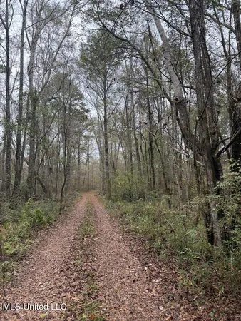 $297,500 | North Us-11 Highway, Pachuta, MS 39347