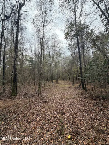 $307,646 | North Us-11 Highway, Pachuta, MS 39347