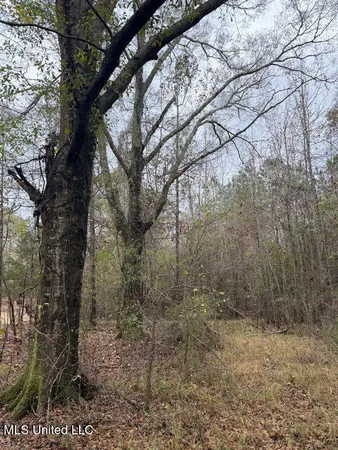 $297,500 | North Us-11 Highway, Pachuta, MS 39347