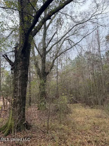 $307,646 | North Us-11 Highway, Pachuta, MS 39347