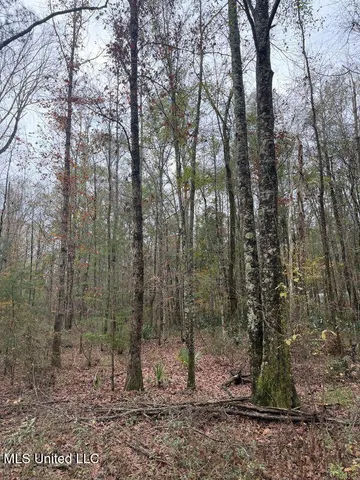 $307,646 | North Us-11 Highway, Pachuta, MS 39347