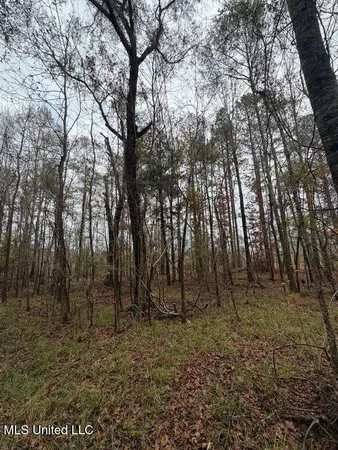 $297,500 | North Us-11 Highway, Pachuta, MS 39347