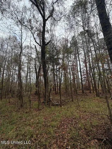 $307,646 | North Us-11 Highway, Pachuta, MS 39347