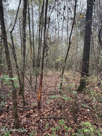 $297,500 | North Us-11 Highway, Pachuta, MS 39347