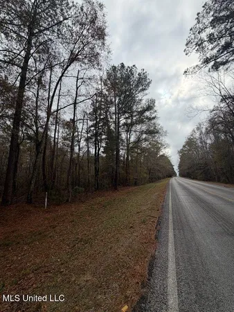 $297,500 | North Us-11 Highway, Pachuta, MS 39347