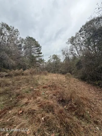 $297,500 | North Us-11 Highway, Pachuta, MS 39347
