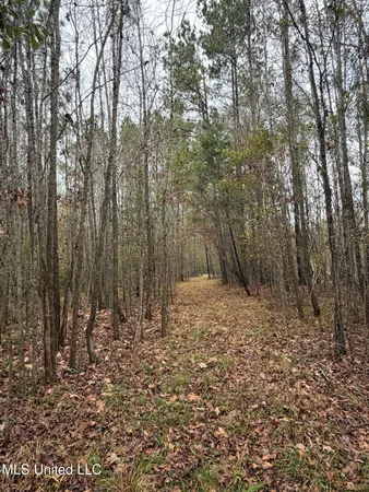 $297,500 | North Us-11 Highway, Pachuta, MS 39347