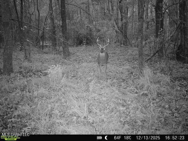 $307,646 | North Us-11 Highway, Pachuta, MS 39347