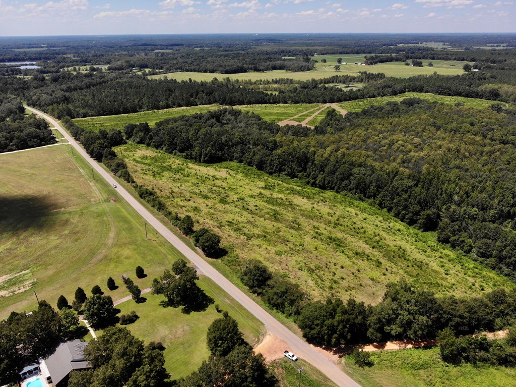 149 East County Road Slocomb, AL 36375 - Photo 5 of 40