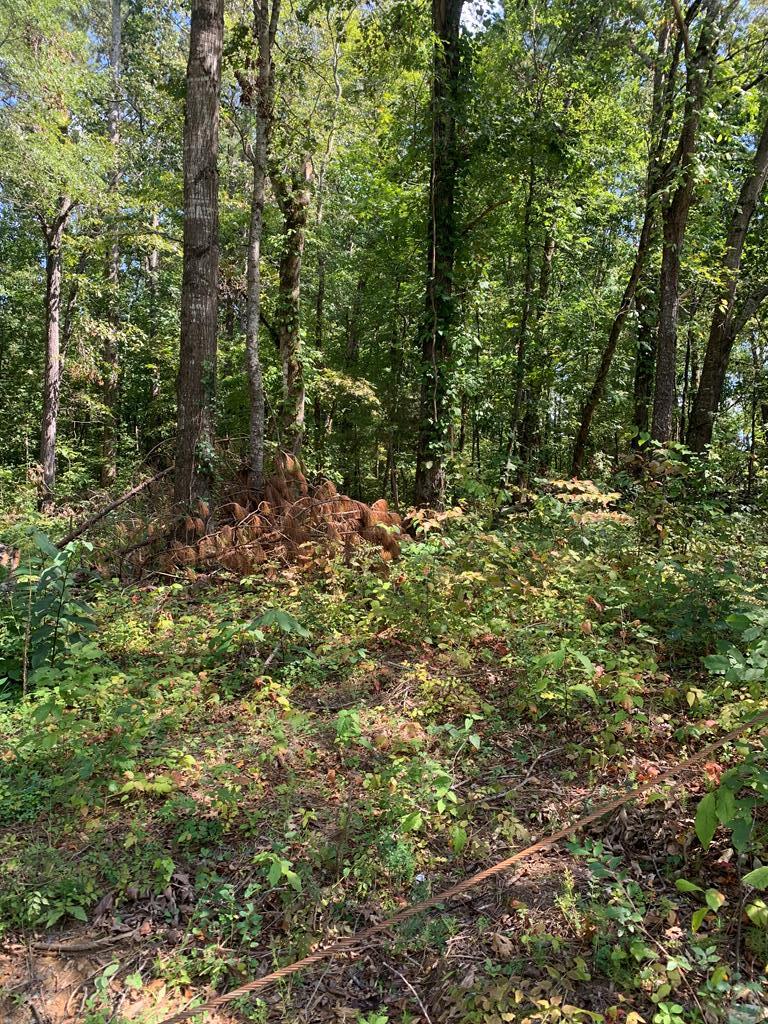 0 South Highway 411 Rome, GA 30161 - Photo 1 of 4 123561_0