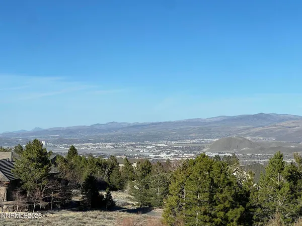 an aerial view of mountain with trees