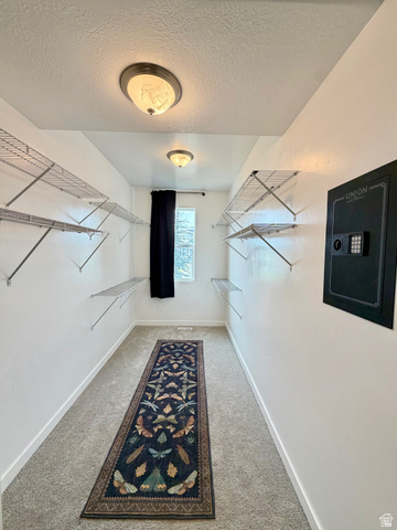 3359 Eurasian Crane Road Clinton, UT 84015 - Photo 24 of 71 Walk in closet featuring light colored carpet