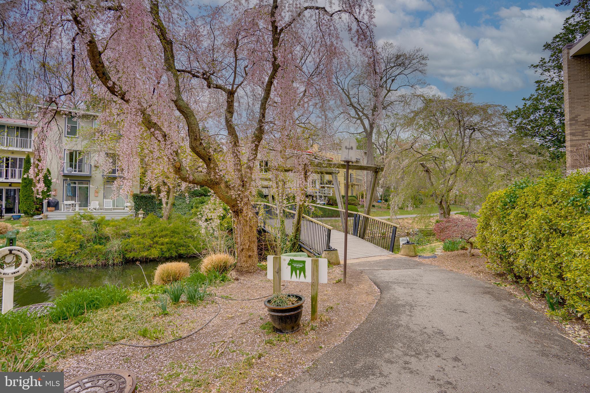 11400 Washington Plaza West, Unit 803 Reston, VA 20190 - Photo 36 of 43 a view of a park with large trees