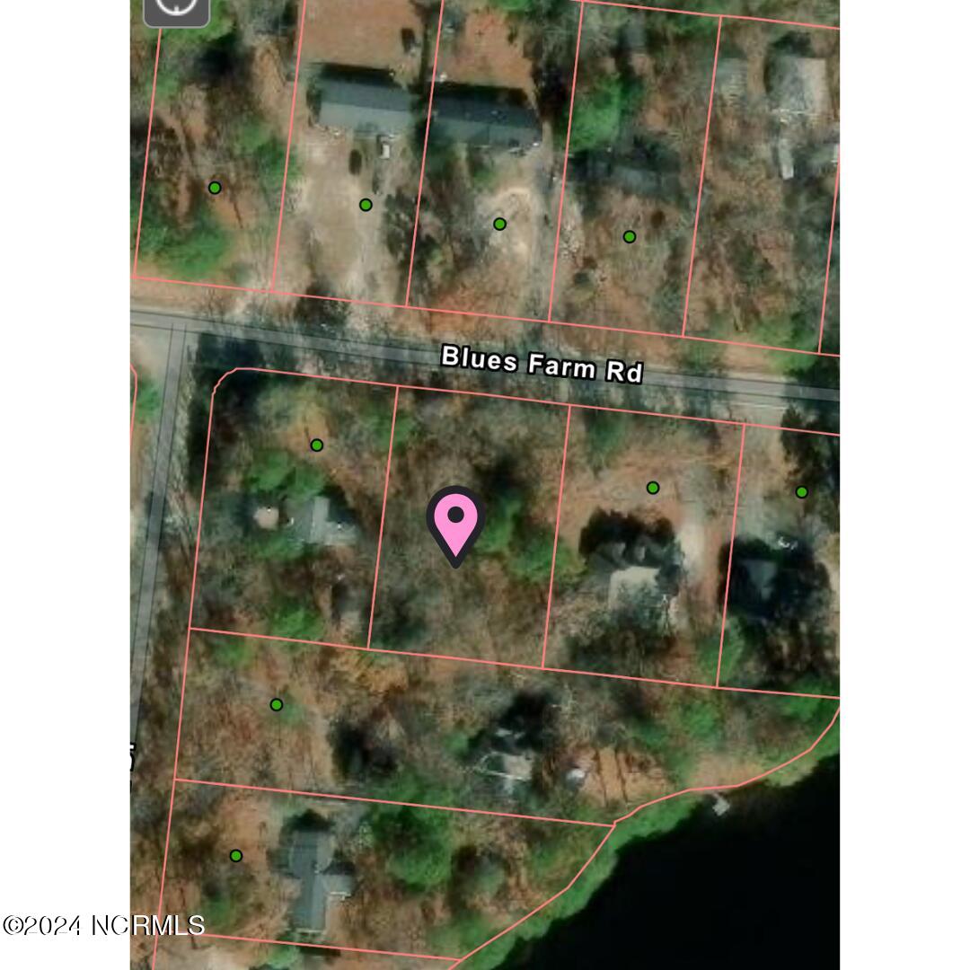 Tbd Blues Farm Road Laurinburg, NC 28352 - Photo 1 of 2 2
