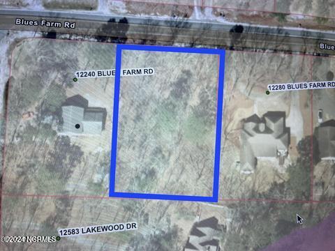 Tbd Blues Farm Road Laurinburg, NC 28352 - Photo 2 of 2 GIS
