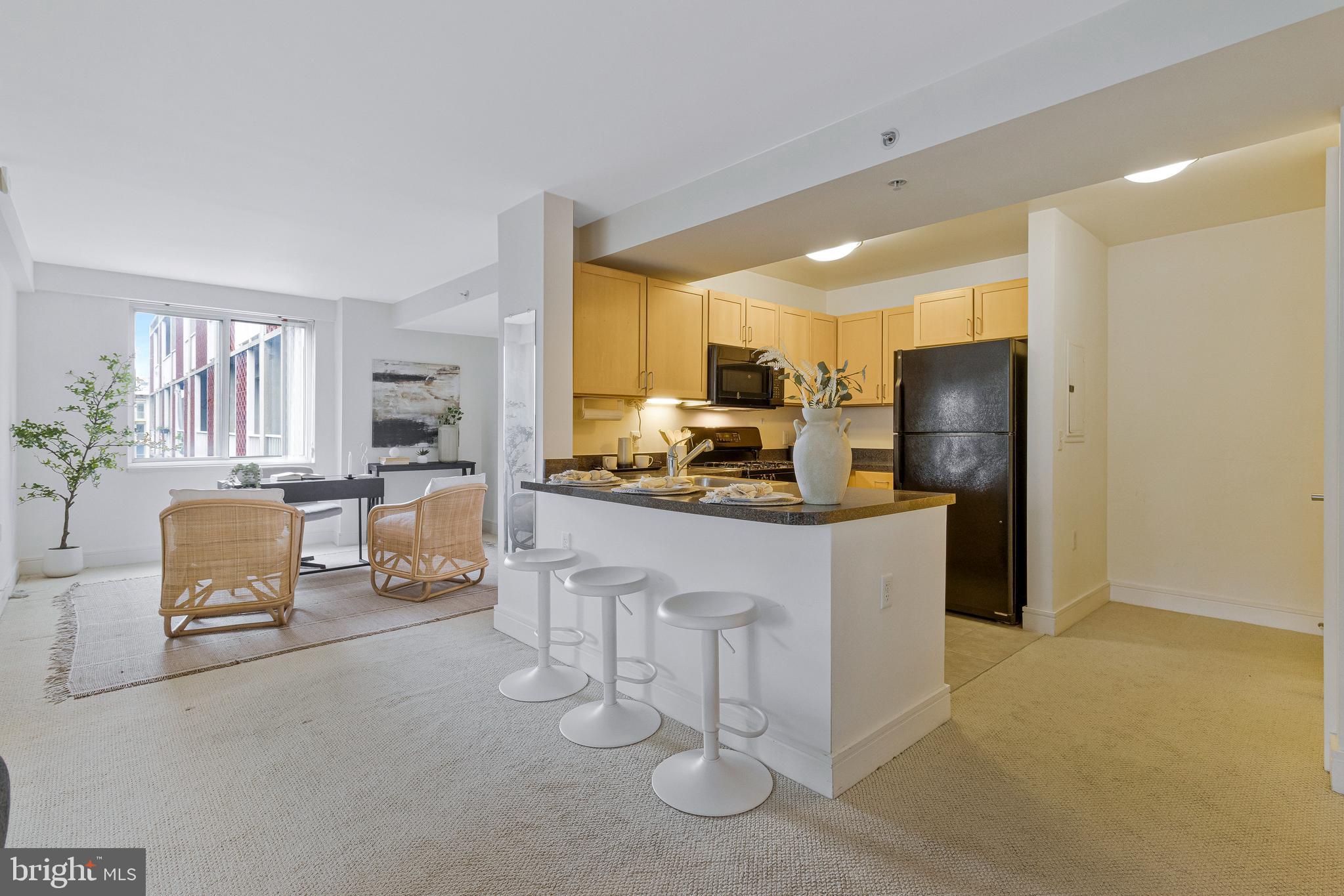 800 4th Street Southwest, Unit N701 Washington, DC 20024 - Photo 17 of 42