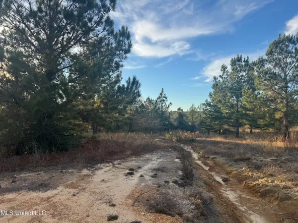 $80,000 | 8-acres 8-acres Parker Road, McHenry, MS 39561