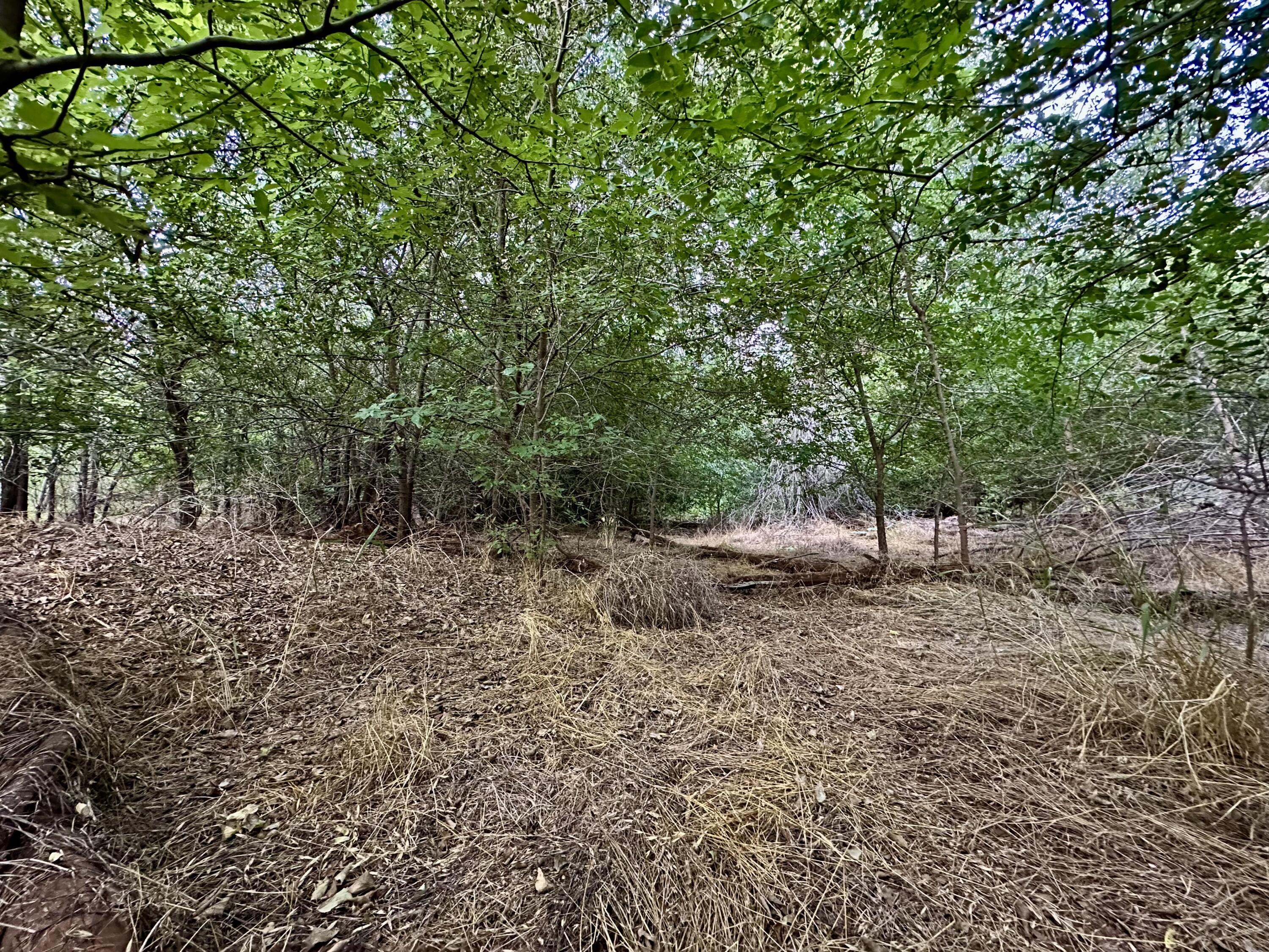 205 Childress Avenue Turkey, TX 79261 - Photo 18 of 18 IMG_6121