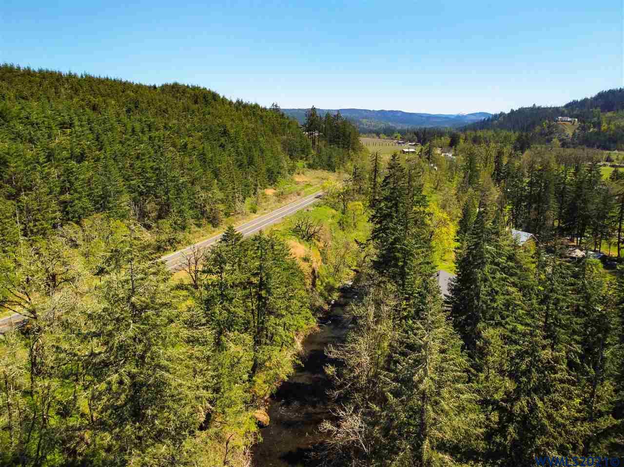 Abiqua (tax 352855) Road Silverton, OR 97381 - Photo 19 of 22