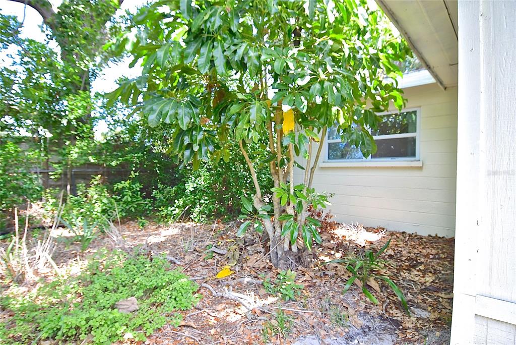 3340 Webber Street Sarasota, FL 34239 - Photo 30 of 32