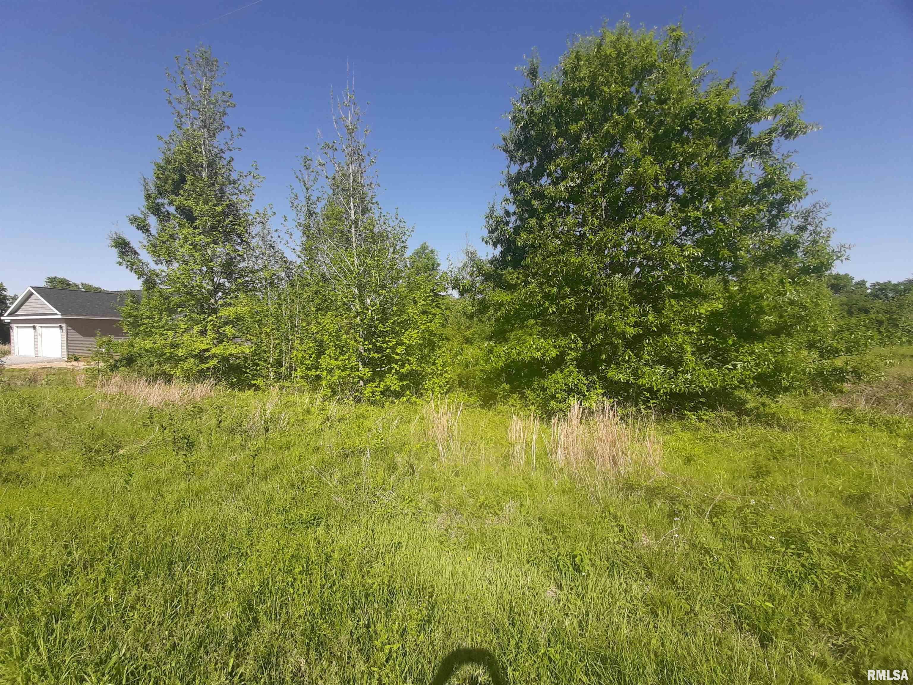 0 Antioch Road, Unit EAST West Frankfort, IL 62896 - Photo 1 of 5