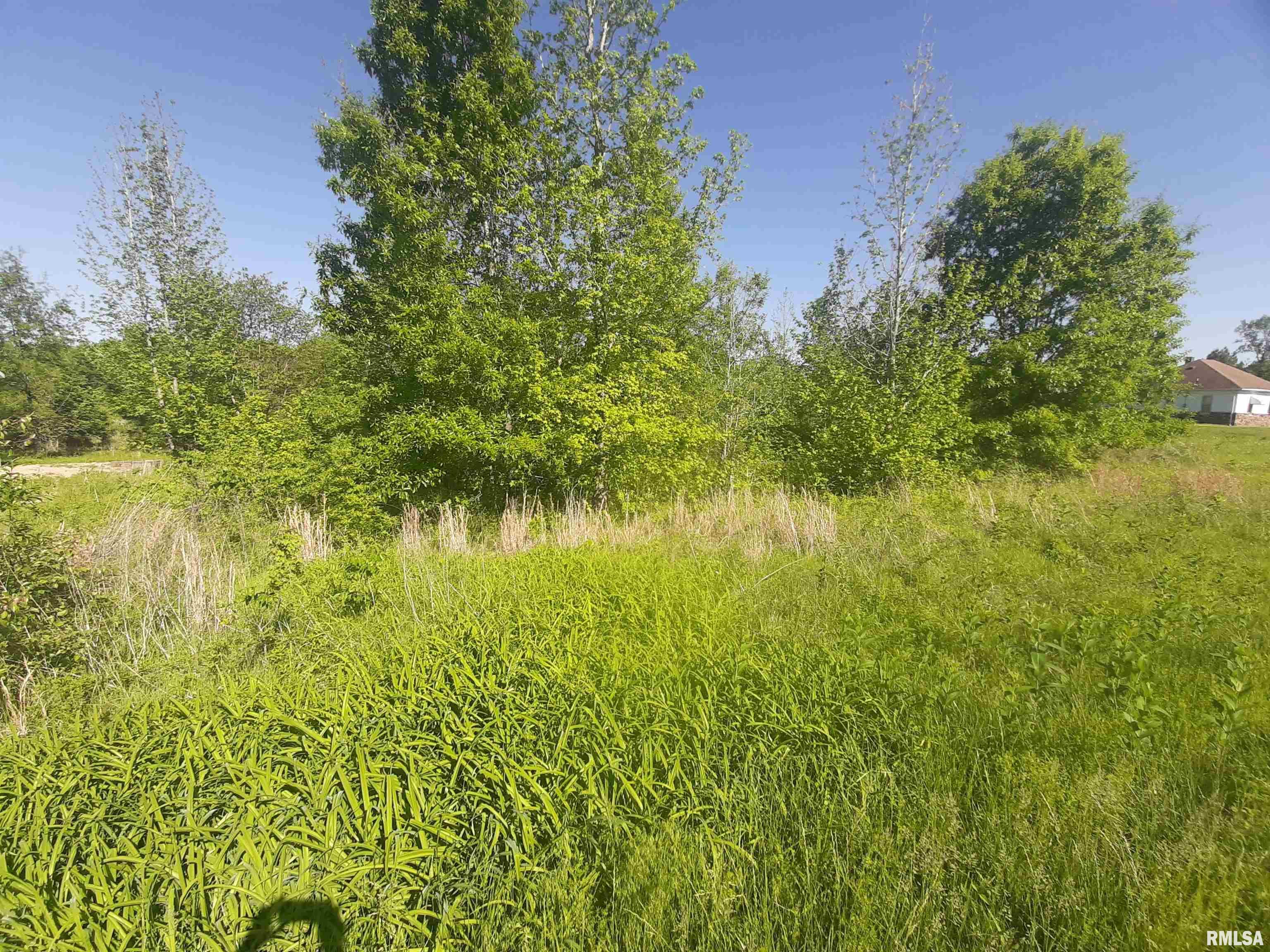 0 Antioch Road, Unit EAST West Frankfort, IL 62896 - Photo 5 of 5