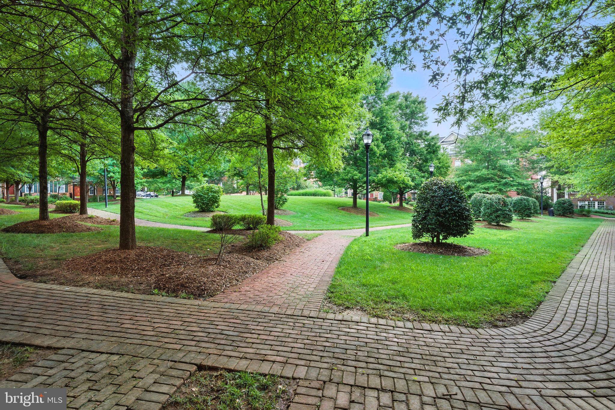 8015 Reserve Way Vienna, VA 22182 - Photo 49 of 58 a view of a park with tree s