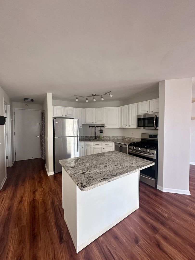 545 North Dearborn Street, Unit W2804 Chicago, IL 60654 - Photo 4 of 47