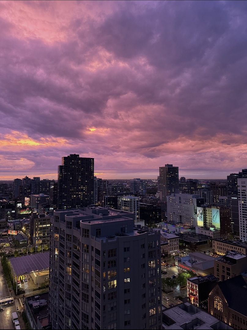 545 North Dearborn Street, Unit W2804 Chicago, IL 60654 - Photo 46 of 47