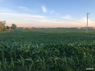 0 Hanover Road Waterloo, IL 62298 - Photo 2 of 2