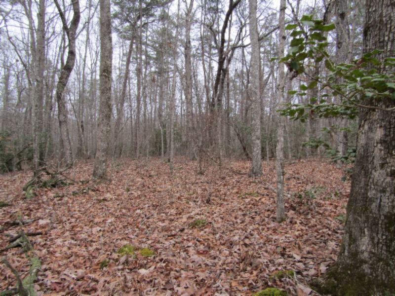 6 East Overlook Road Monterey, TN 38574 - Photo 1 of 16 Gallery Image 1