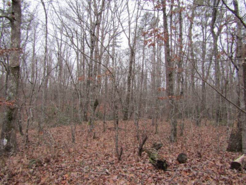 6 East Overlook Road Monterey, TN 38574 - Photo 7 of 16 Gallery Image 7