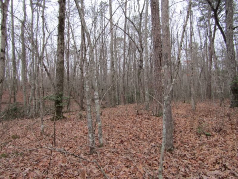 6 East Overlook Road Monterey, TN 38574 - Photo 8 of 16 Gallery Image 8