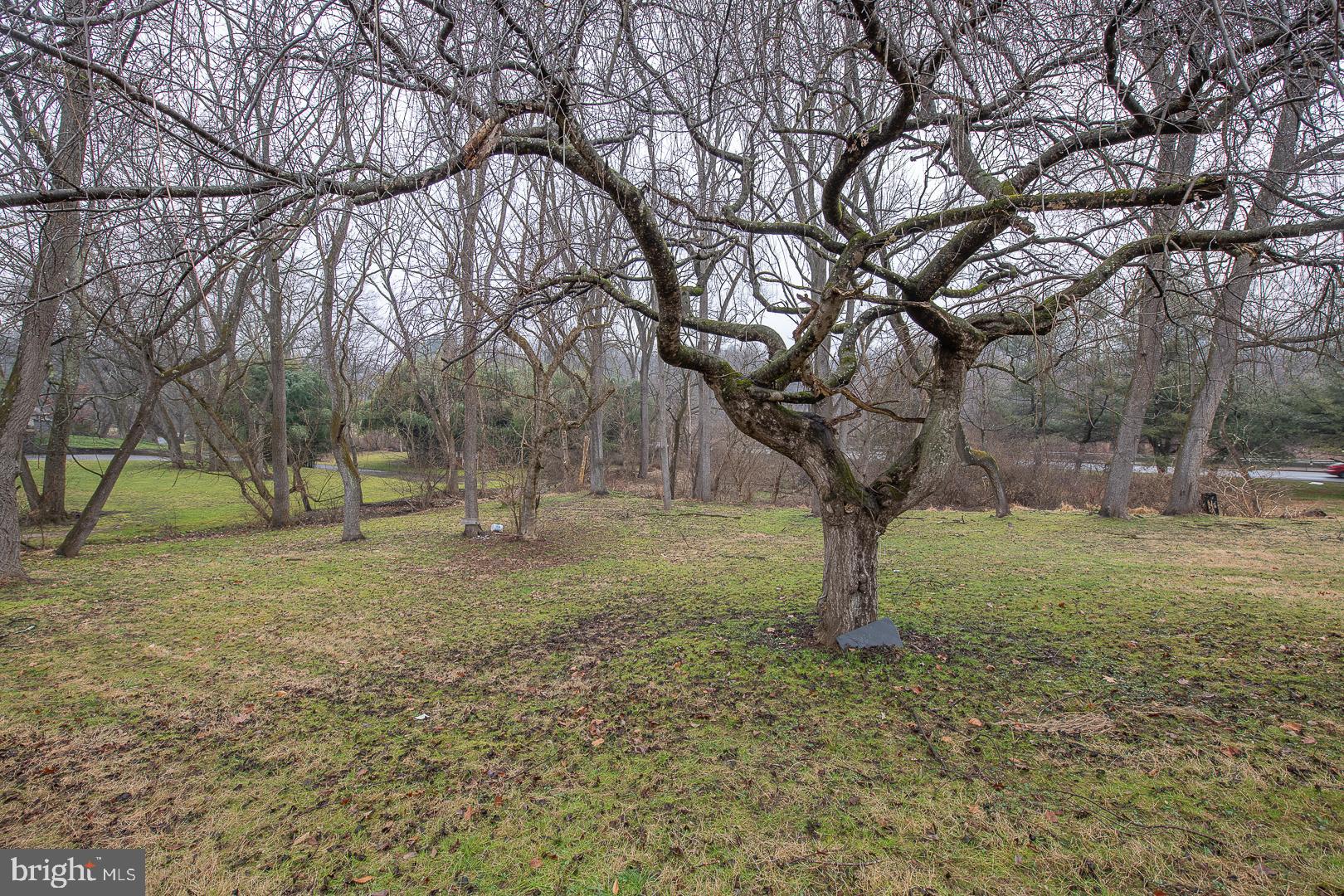 202 Baltimore Pike Chadds Ford, PA 19317 - Photo 48 of 63