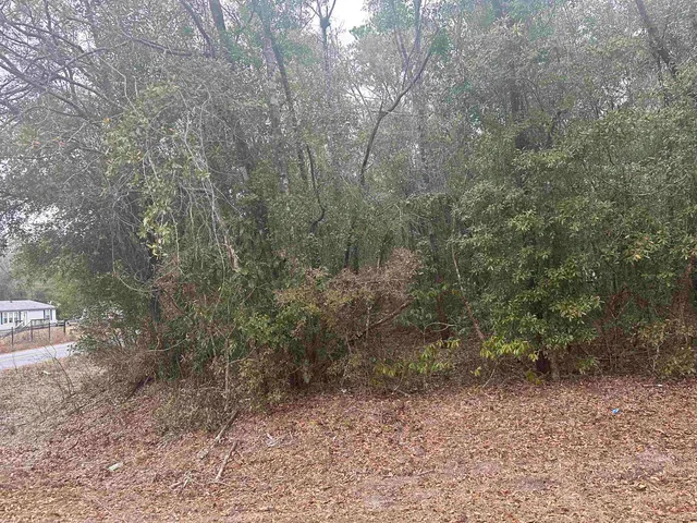 $10,000 | Lot 1 Luther Hall Road, Tallahassee, FL 32310
