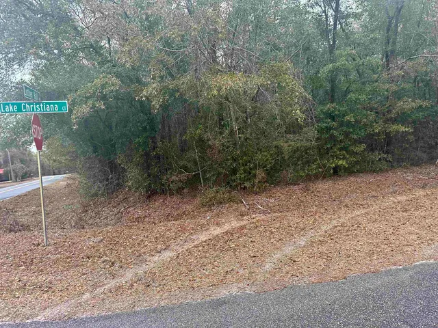 $10,000 | Lot 1 Luther Hall Road, Tallahassee, FL 32310