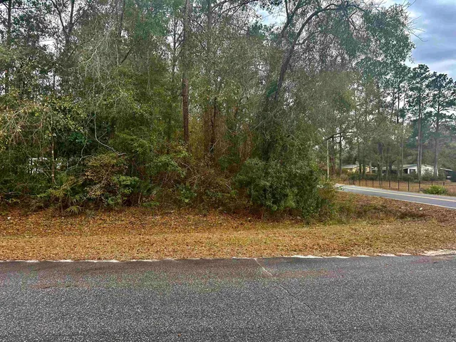 $10,000 | Lot 1 Luther Hall Road, Tallahassee, FL 32310