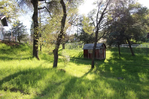 a backyard of a house with yard and green space
