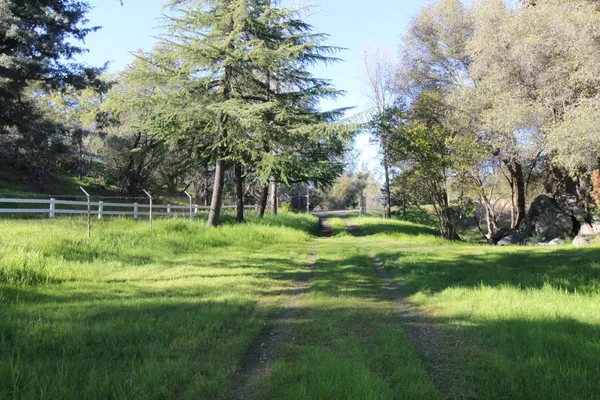 a view of a park with large trees