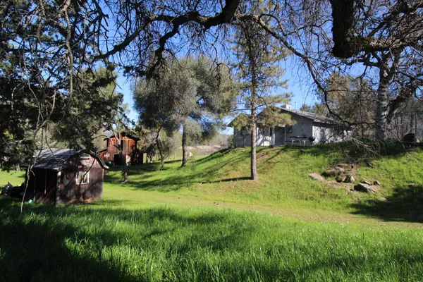 a view of a park with a tree