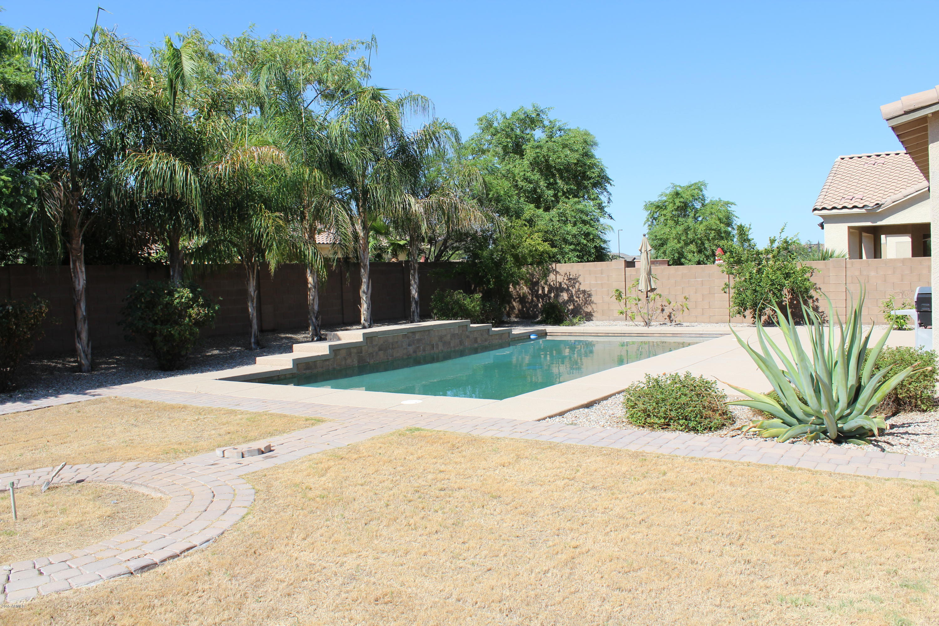 Backyard 2