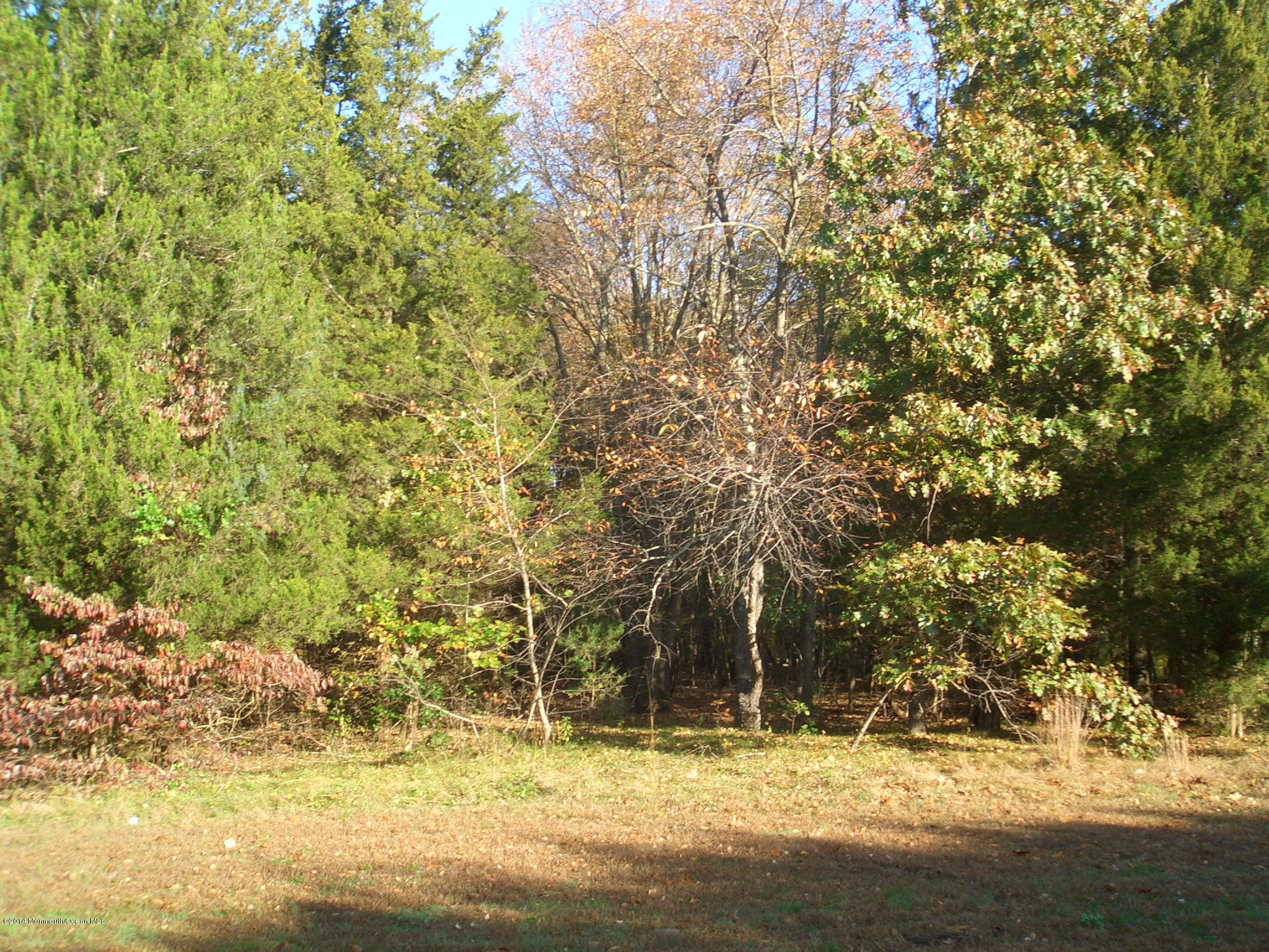 0 Emley's Hill Road Cream Ridge, NJ 08514 - Photo 1 of 7 CIMG2283